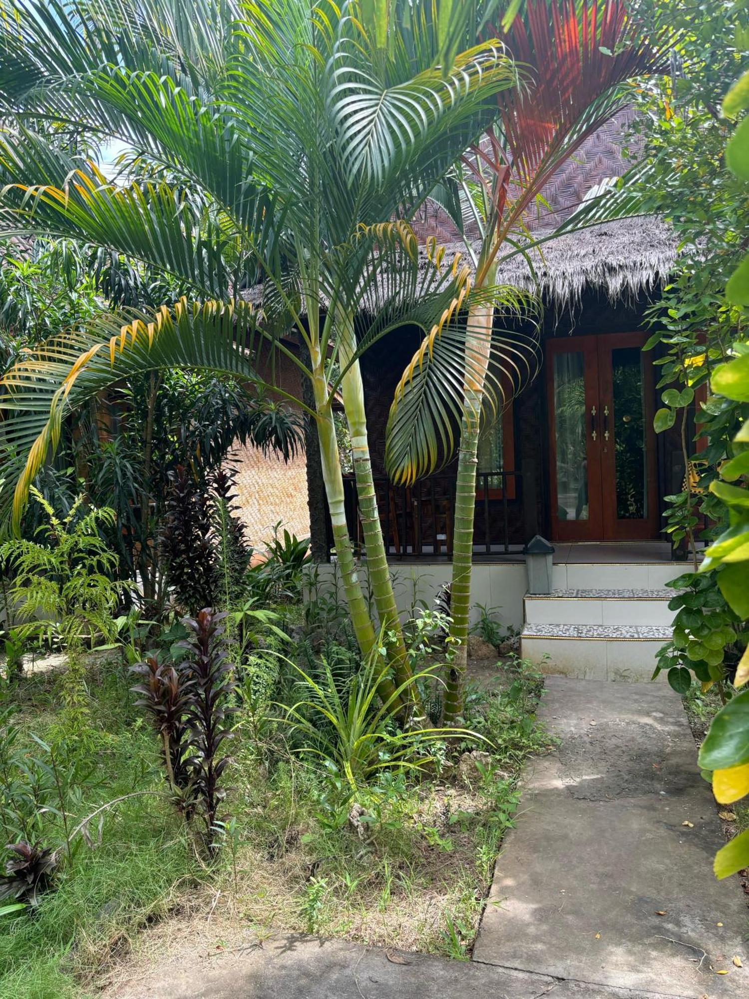 Kubu Artha Bungalow Nusa Penida Ped ภายนอก รูปภาพ